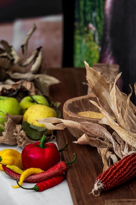 targi Terra Madre Salone del Gusto w Turynie 2026