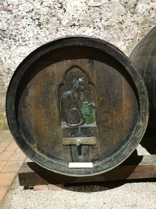 Zamek Mikulov beczka