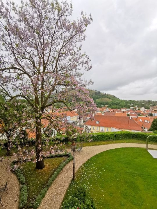 Zamek Mikulov