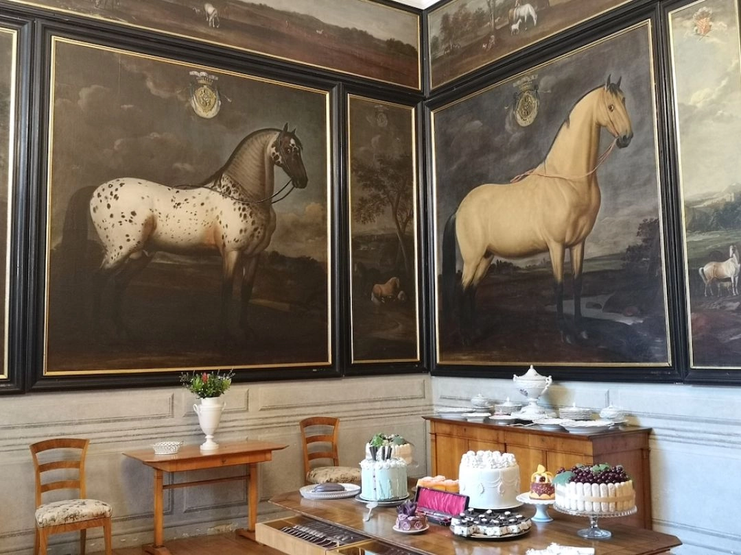 Sala na zamku w Litomyslu