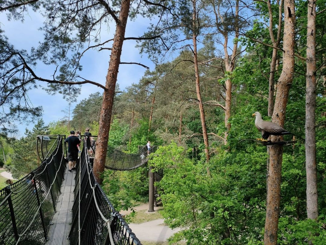 Park Dolina Wkry