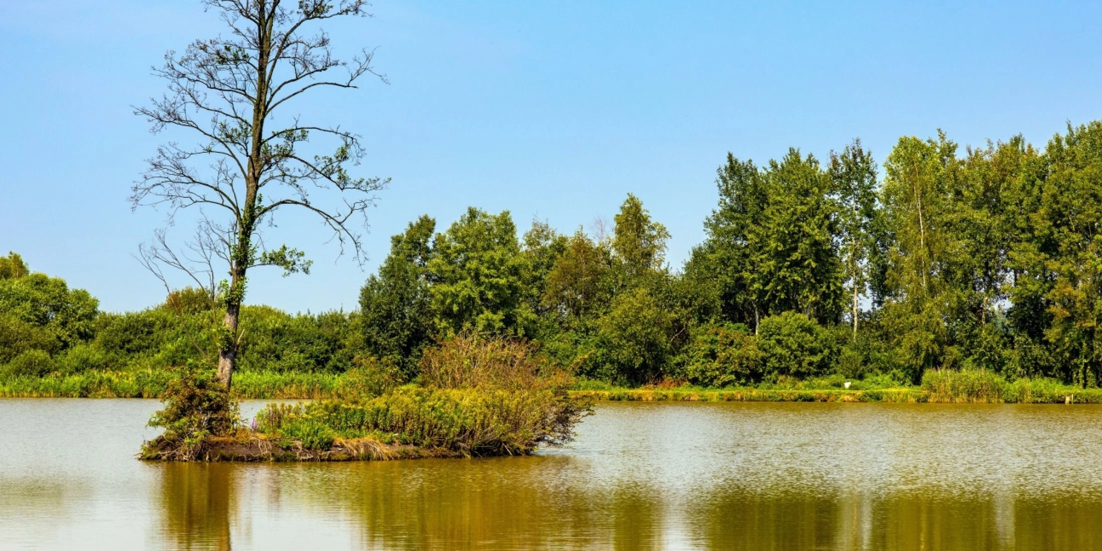 Bagno Całowanie pod Warszawą