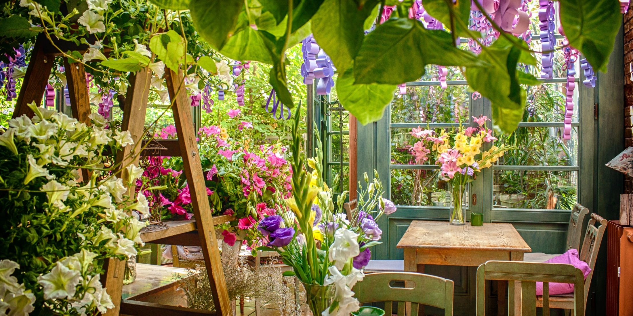 Zobacz nasz ranking najlepszych restauracji z ogródkami!​​​​​​​