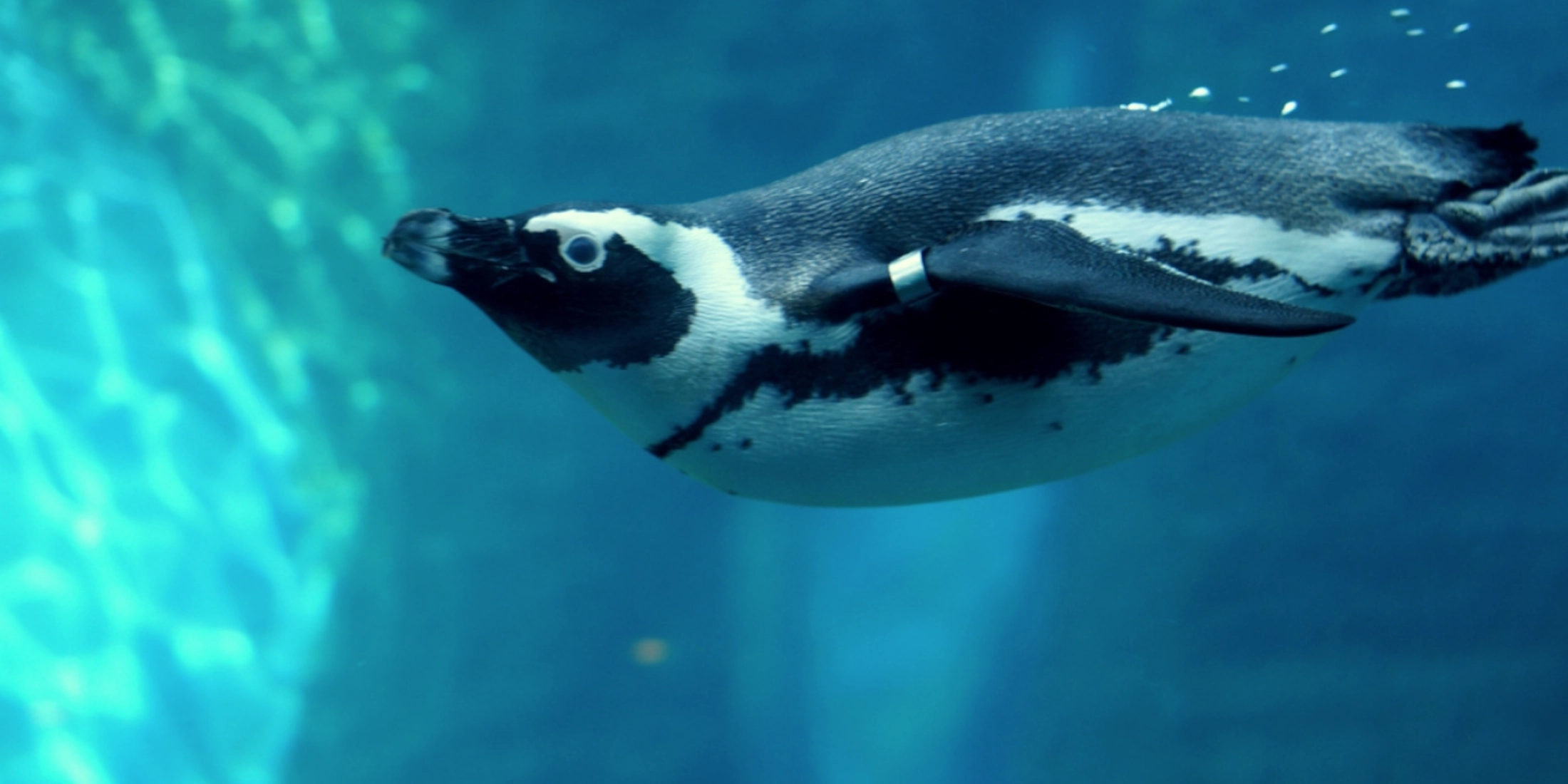 zoo Wroclaw