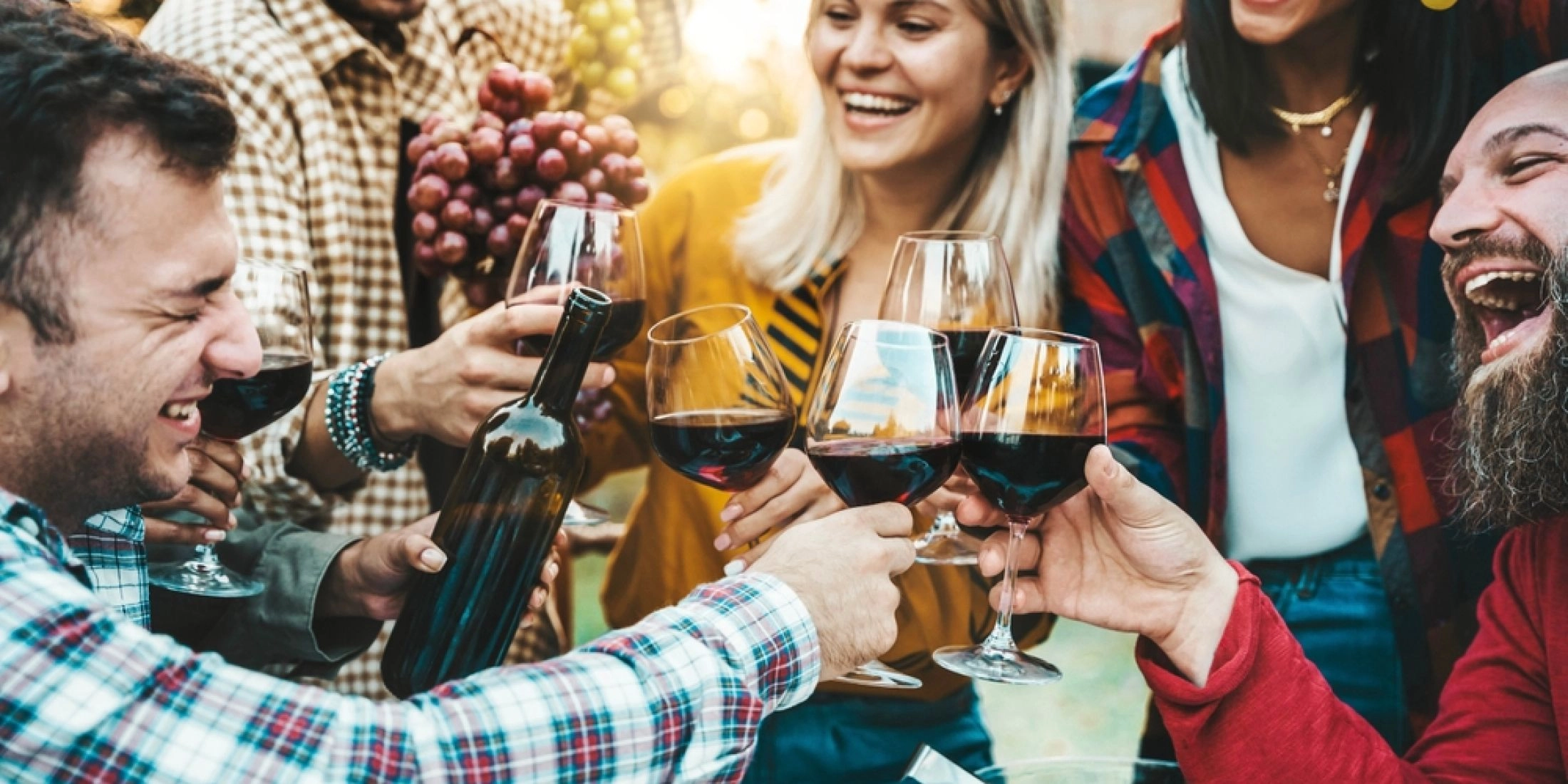 Polski festiwal wina w winnicy - grupa przyjaciół z kieliszkami z winem