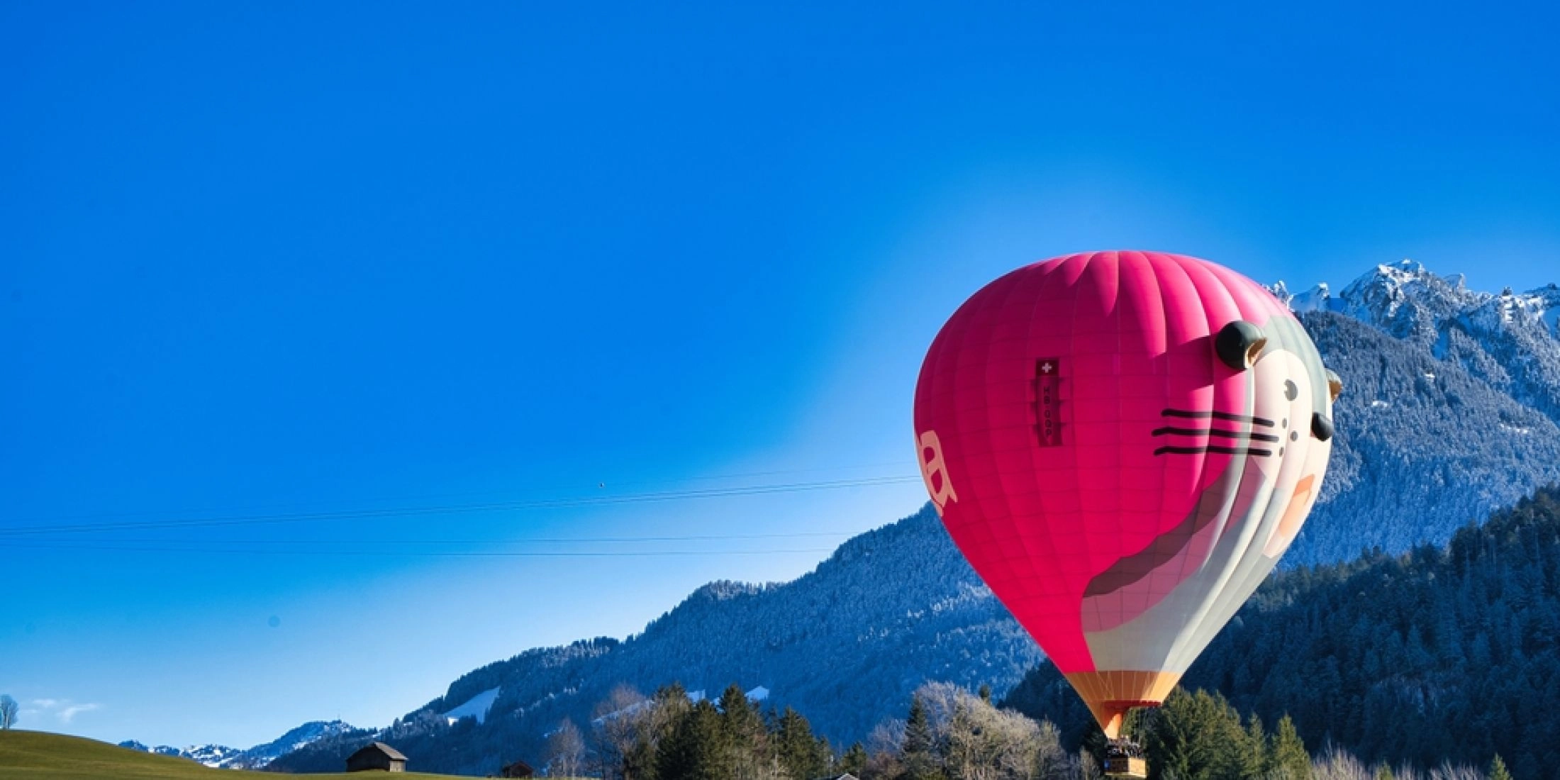 Różowy balon w kształcie głowy kota lecący nisko nad górską doliną, z ośnieżonymi szczytami w tle.