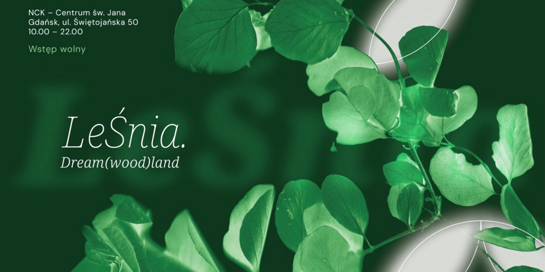 Festiwal Leśnia
