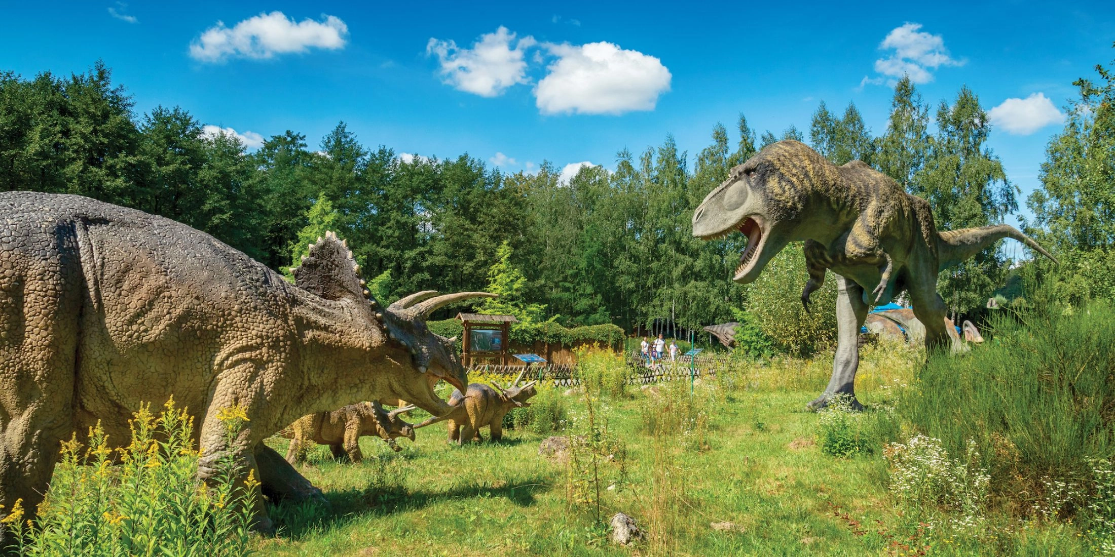park dinozaurow