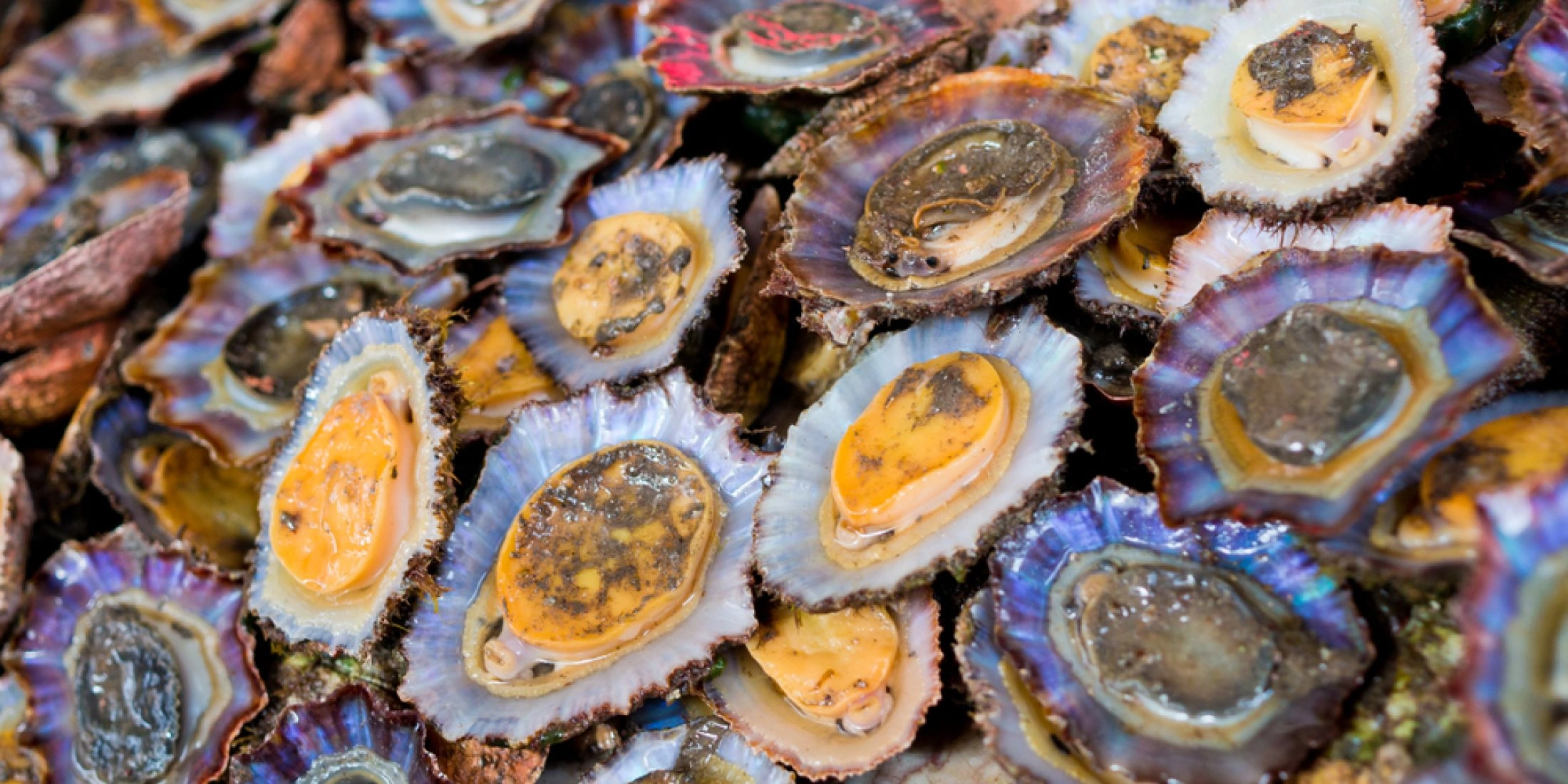 Marisqueira O Tonico
