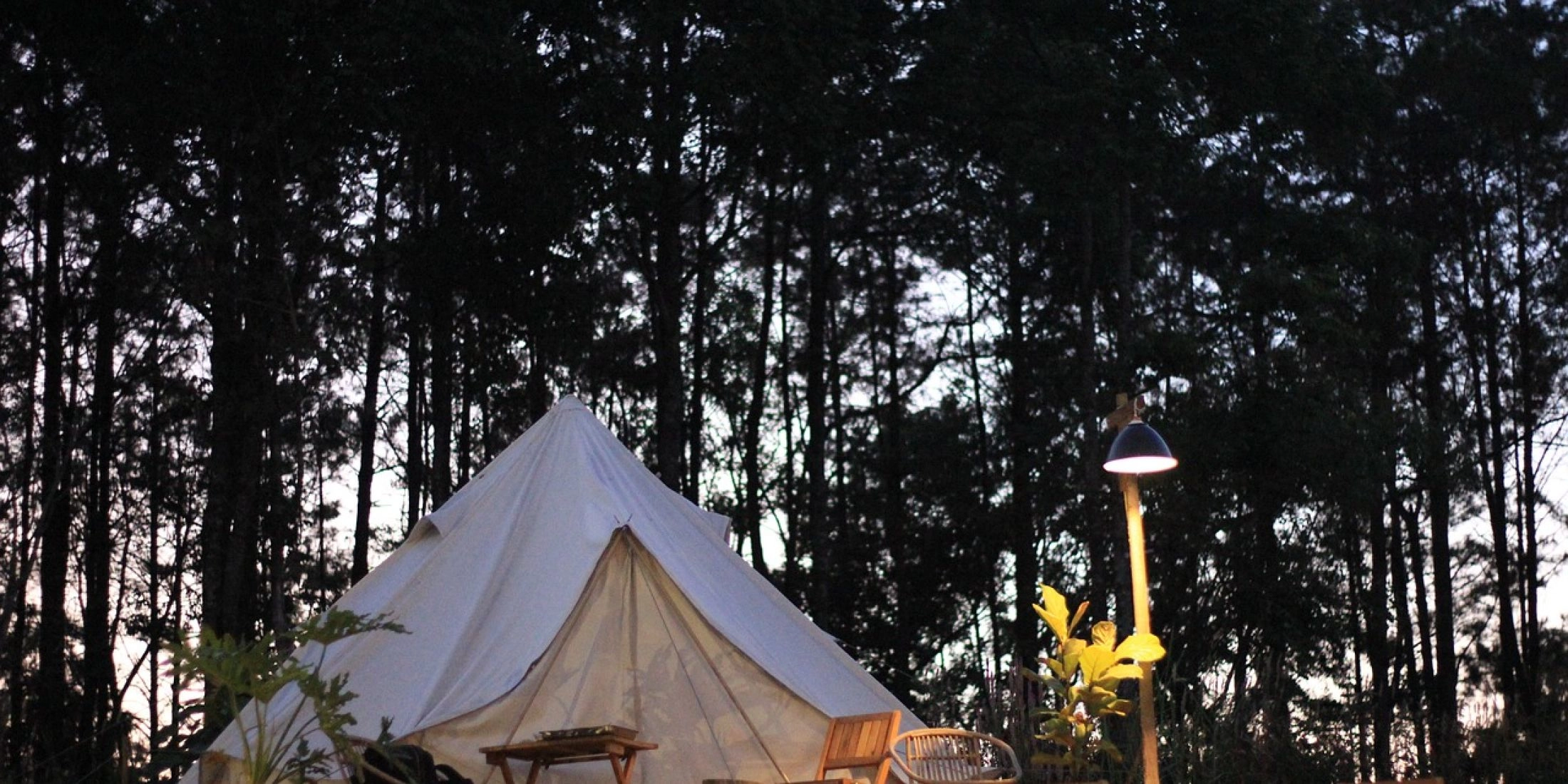 Glamping - namiot w lesie