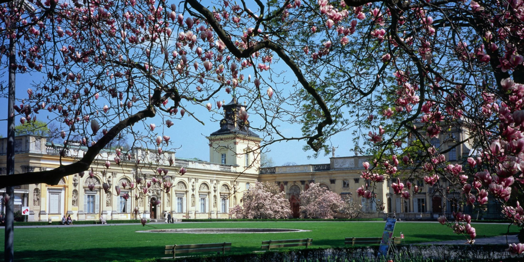 Pałac w Wilanowie widziany przez kwitnące magnolie i wiosenne kwiaty