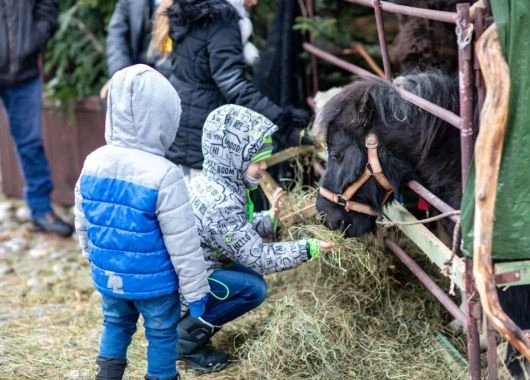 Wizyta w zoo podczas ferii