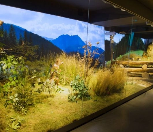 atrakcje zakopane centrum tatrzanski park narodowy