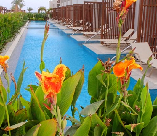 Hotelowy basen nad Morzem Czerwonym