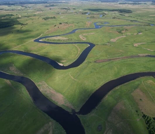 Narwiański Park Narodowy polska Amazonia