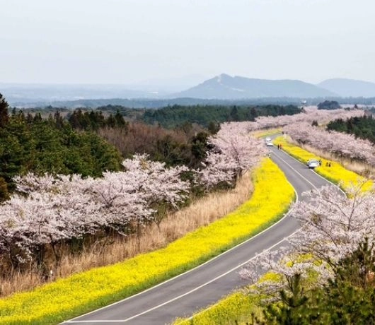 Jeju