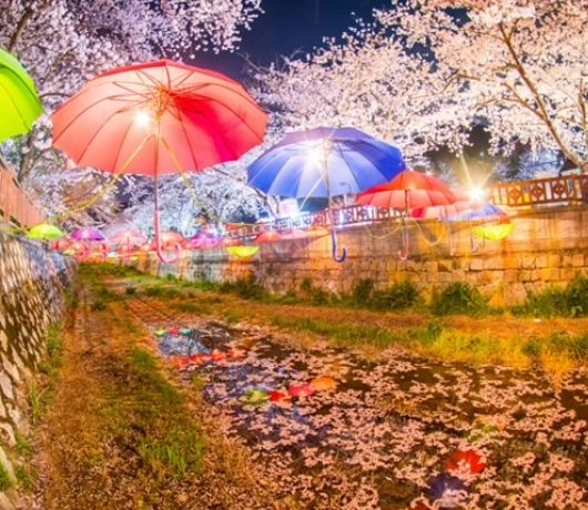 Jinhae Gunhangje Festival