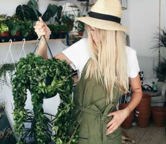 plantarium mokotowska