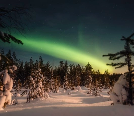 Zielona zorza polarna na nocnym niebie nad ośnieżonym lasem w okolicach Rovaniemi.