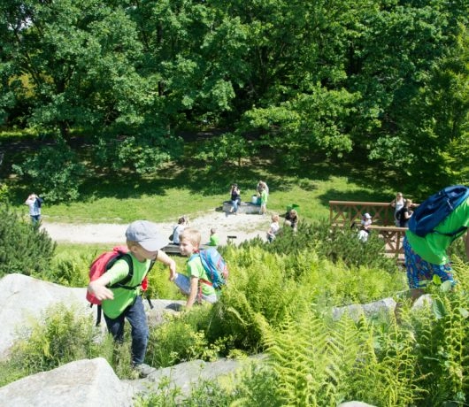 Ogród botaniczny w Powsinie