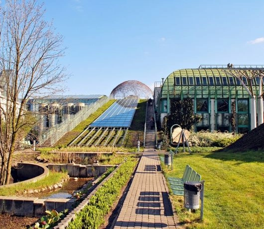 Ogród botaniczny UW