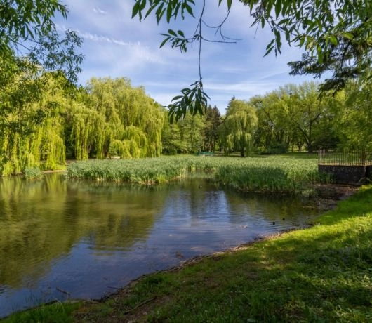 Ogród botaniczny w Łodzi
