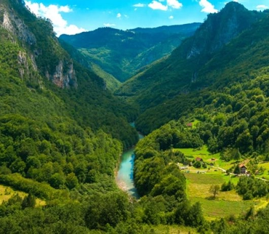 Kanion rzeki Tara w Czarnogórze.