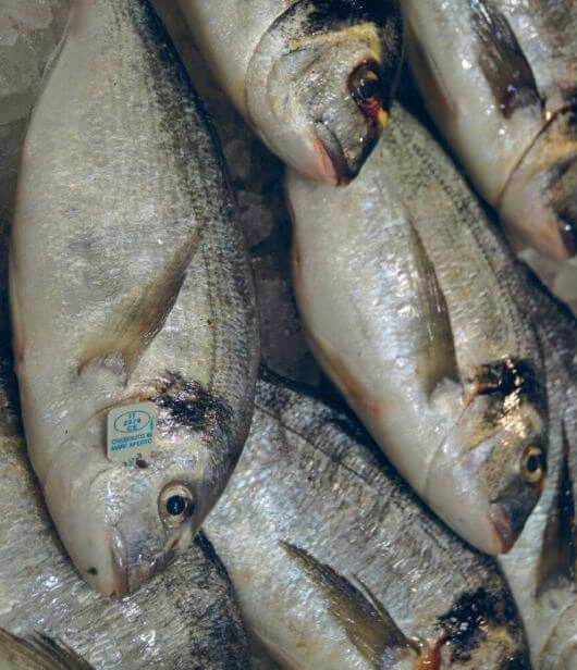 wlochy targ marceto orientale ryby