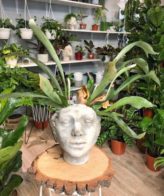 lolaflora kraków