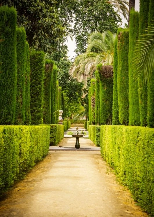 Sewilla Real Alcazar