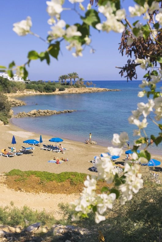 Fig Bay