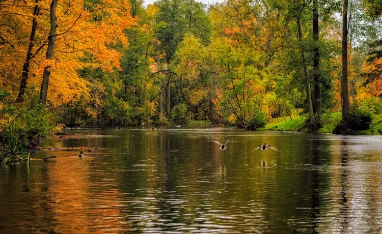 Mazury jesienią krutynia