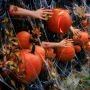 Dekoracje Halloween