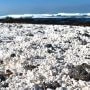 popcorn beach hiszpania