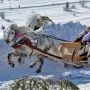 Kumoterki w Bukowinie Tatrzańskiej, góralskie sanie na śniegu z woźnicą