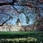 Pałac w Wilanowie widziany przez kwitnące magnolie i wiosenne kwiaty