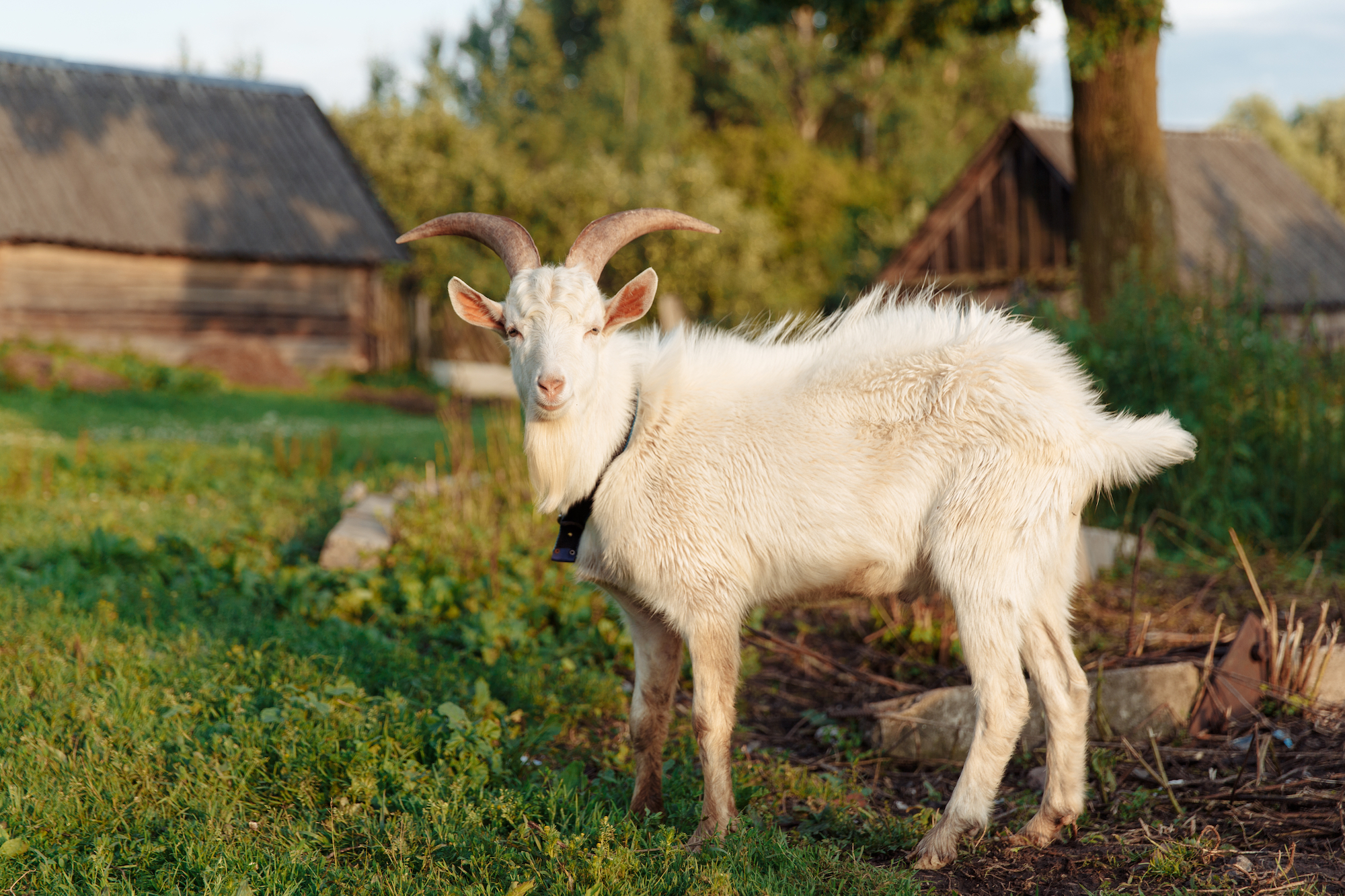agroturystyka