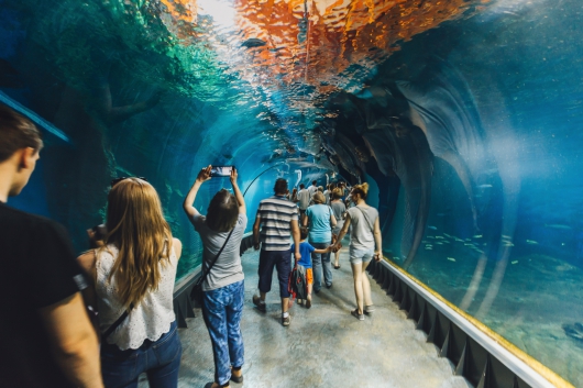Od lewej: Stay Milickie i Afrykarium; fot. Shutterstock