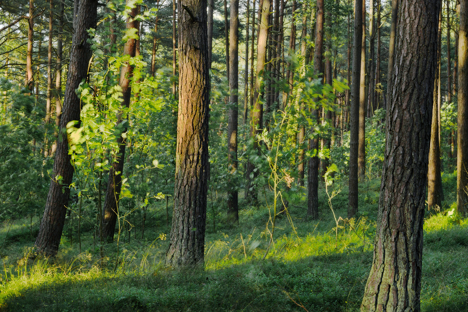 gdzie na wielkanoc - trójmiejski park krajobrazowy