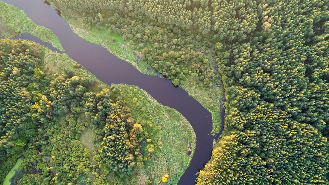 lot balonem nad biebrzą