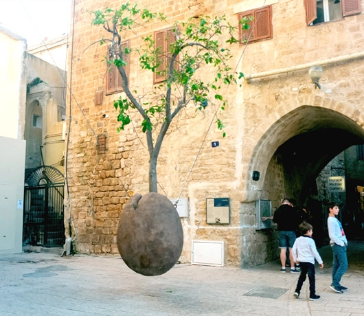 Old Jafa, czyli Stare Miasto w Tel Awiwie: wieża Zegarowa i wiszące drzewo pomarańczowe, fot. Shutterstock
