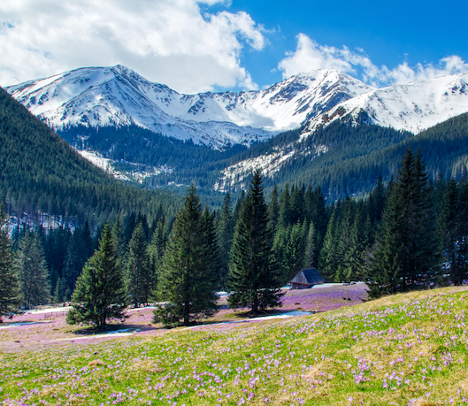 tatry