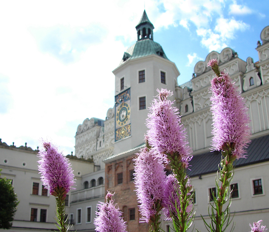 szczecin atrakcje