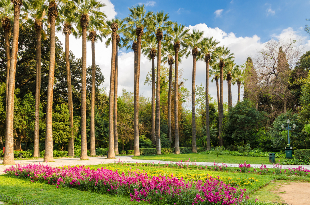 Ogród Botaniczny Diomidousa, Ateny