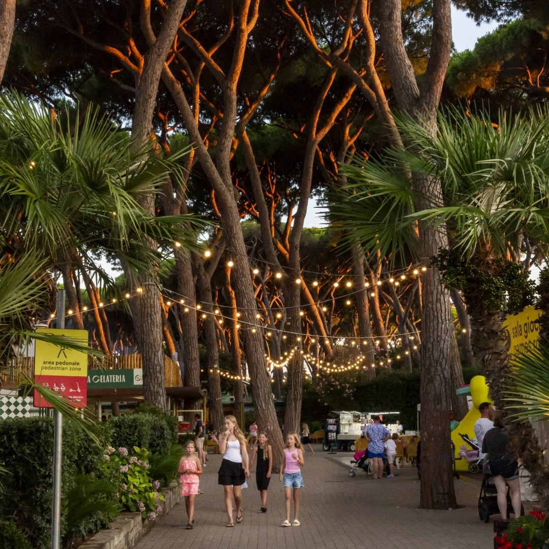 Wieczorna alejka na campingu Hu Park Albatros w Toskanii, otoczona sosnami i girlandami świateł