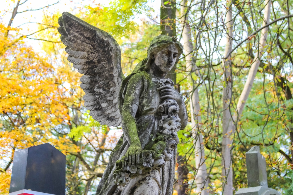 Rzeźba anioła z mchem na skrzydłach, Cmentarz Powązkowski w Warszawie, jesienne drzewa w tle