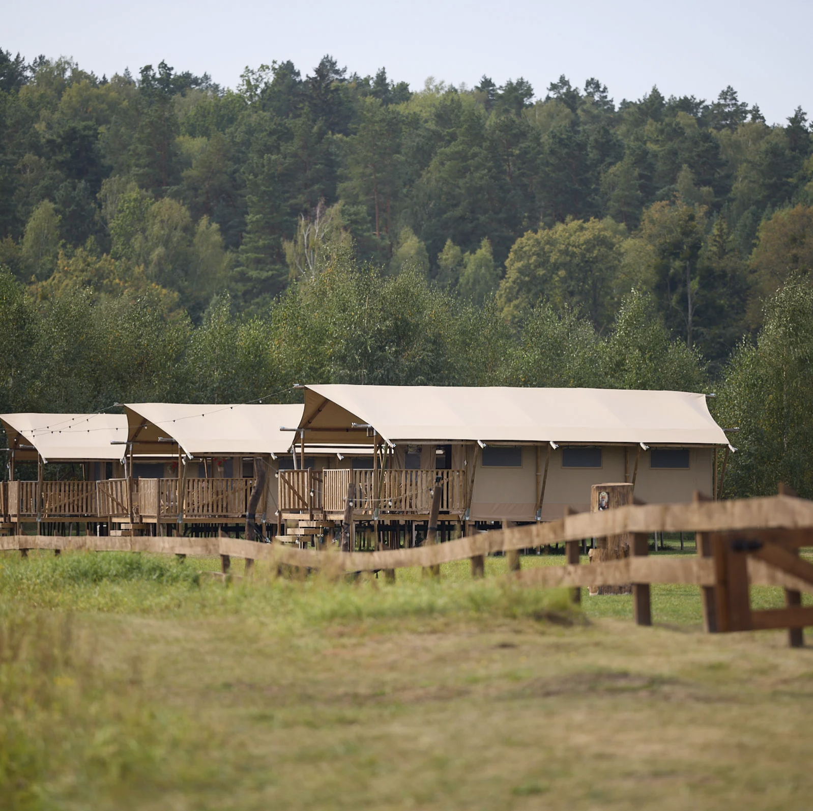 Glampingowe namioty Liva Park na Mazurach Zachodnich, ustawione na drewnianych tarasach wśród zieleni i lasu.