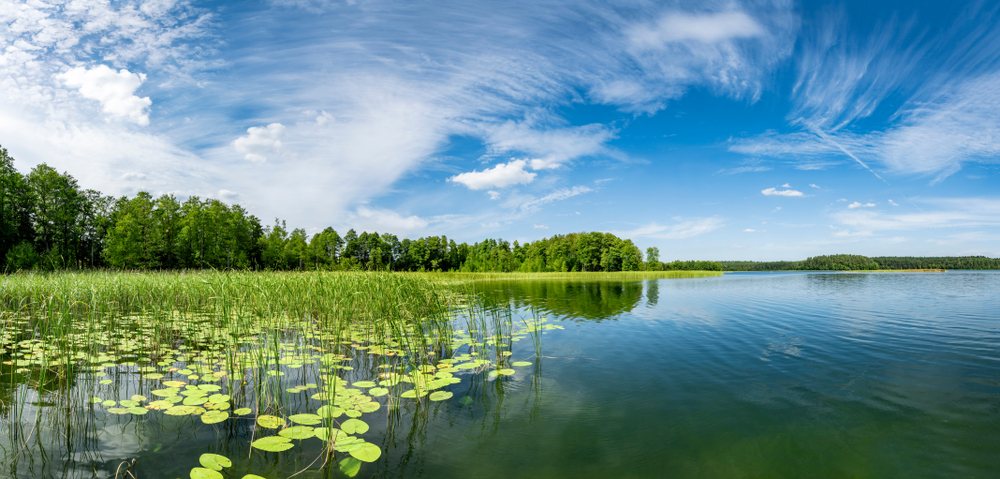 mazury retauracje