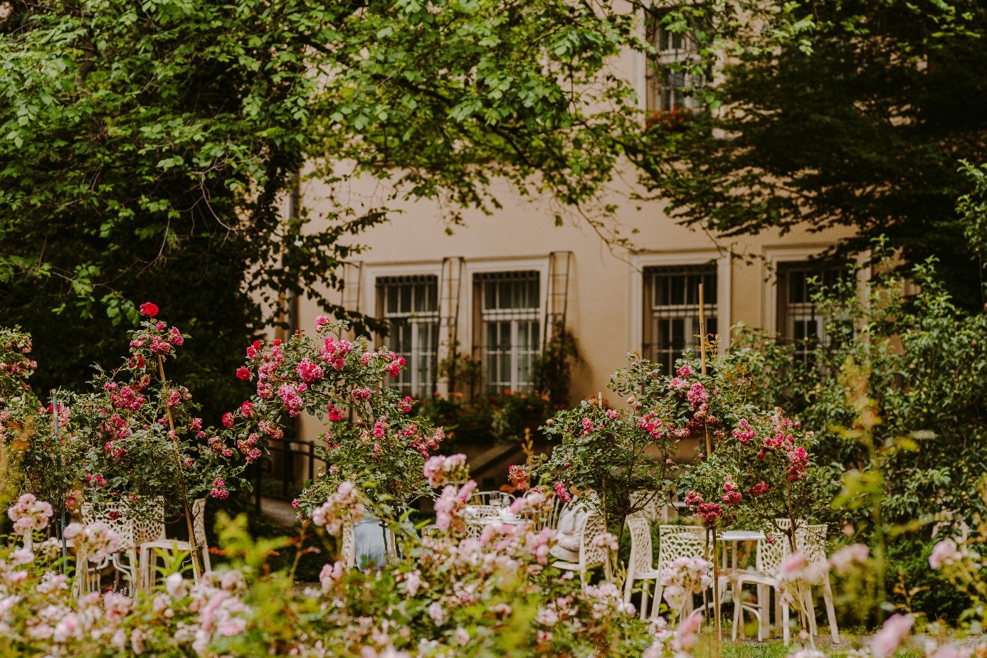 Ogród Mehoffera w Krakowie, zielona przestrzeń przy domu Józefa Mehoffera z kawiarnią i kwitnącymi rabatami.