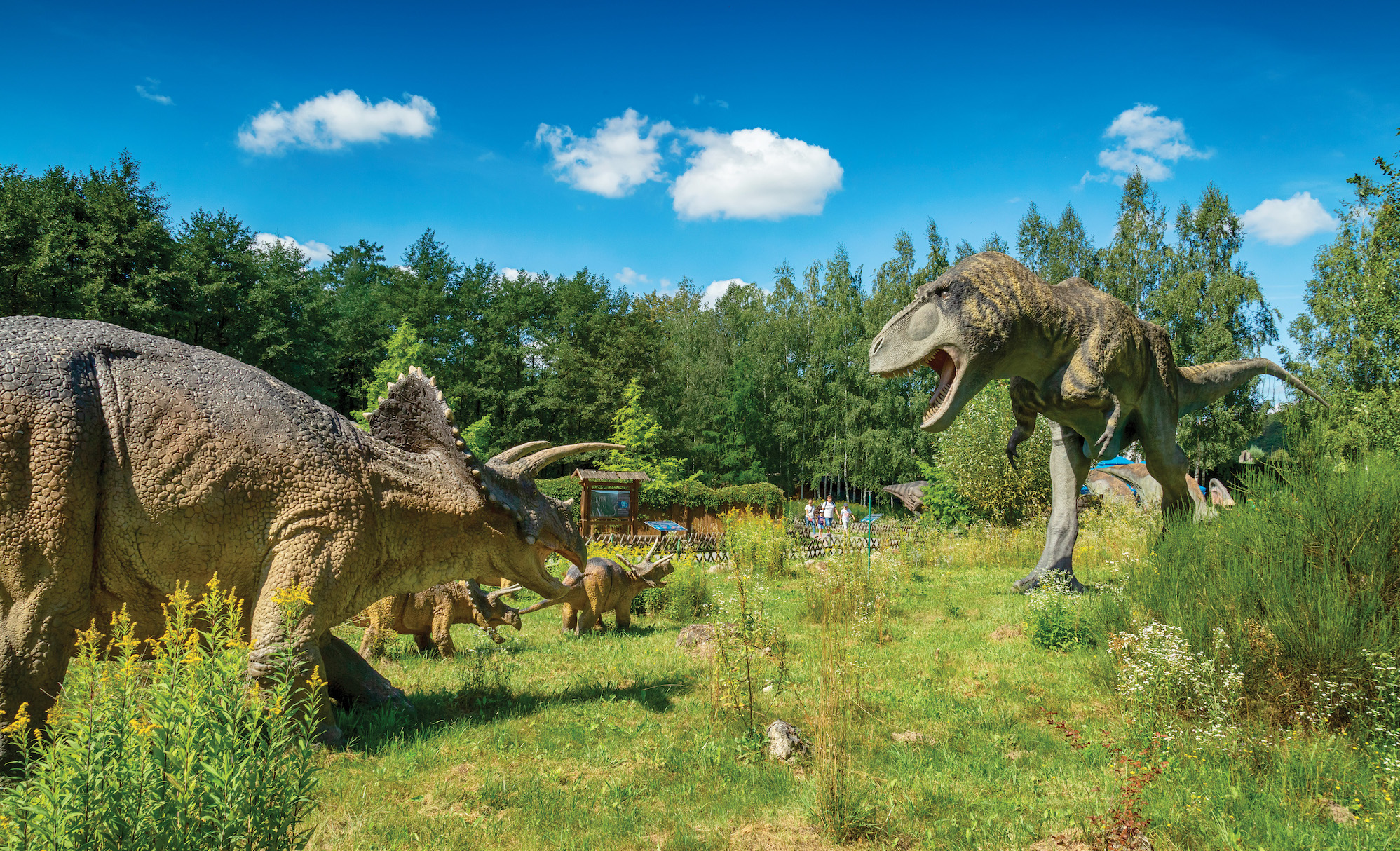 park dinozaurow